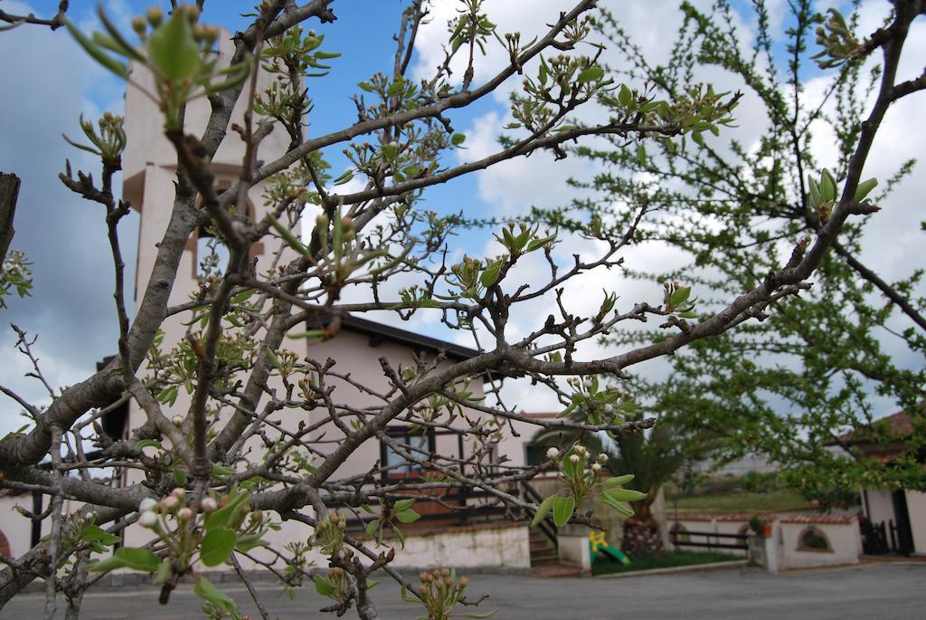 Alloggio per agriturismo Torre Cristina